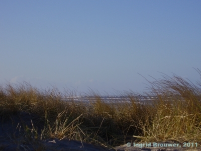 De zee achter de duinen